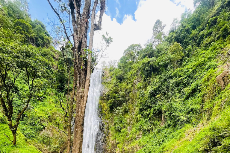 Arusha: Materuni Waterfalls, Coffee tour & local lunch Arusha: Materuni waterfalls, coffee tours and local lunch