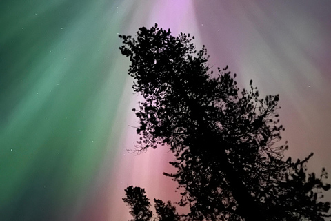Banff Night Sky: Northern Lights and/or Stargazing Tour