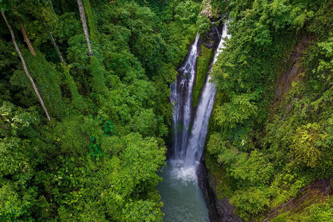 North Bali: Dolphin Swim, Snorkeling, & Waterfall Cliff Jump Small Group With Hotel Transfer Central Bali