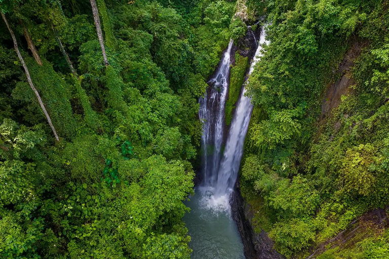 North Bali: Dolphin Swim, Snorkeling, & Waterfall Cliff Jump Small Group With Hotel Transfer Central Bali