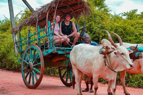 Sigiriya & Dambulla All Inclusive Day Trip Sigiriya & Dambulla All Inclusive Day Trip