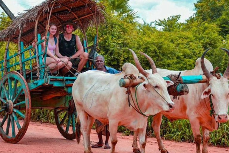 Sigiriya & Dambulla All Inclusive Day Trip Sigiriya & Dambulla All Inclusive Day Trip