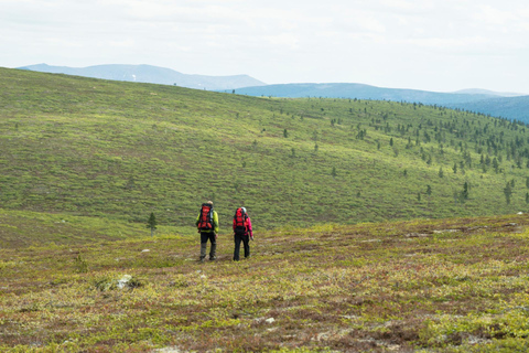 Saariselkä: Hiking Day with Lunch in Kiilopää