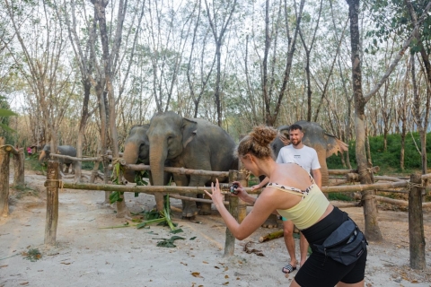 Visite du sanctuaire des éléphants de Khao Lak avec chute d'eau et déjeuner