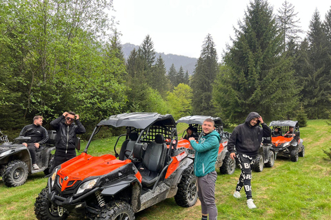 Bucareste: Santuário dos Ursos Pardos e Passeio de Quadriciclo
