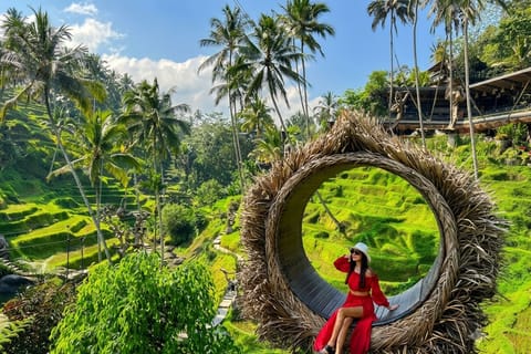 Ubud: Rice Fields, Waterfall, and Temple Guided Tour