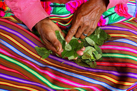 Coca Leaf Reading: Ancestral Ceremony -La Luz Retreat Temple