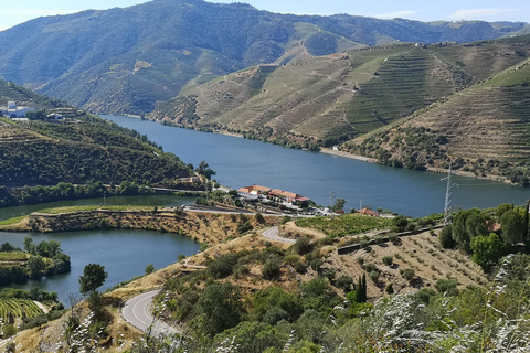 From Porto: Wine Trip w/ Tastings, Chef's Lunch & Boat Tour