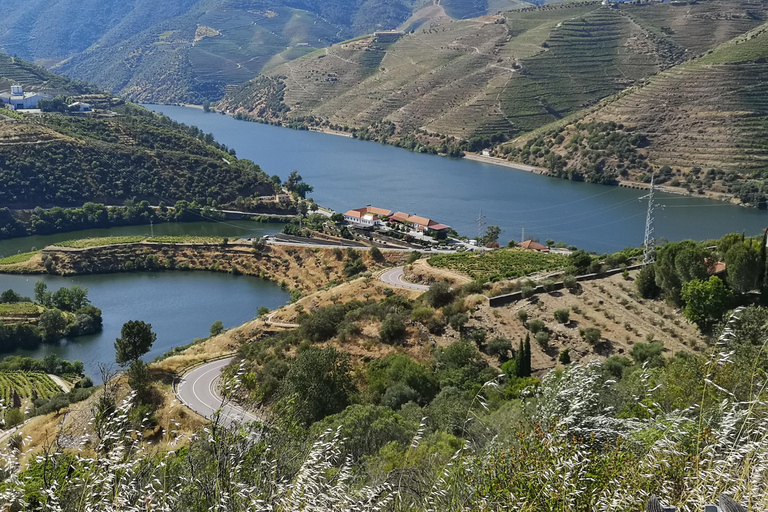 Ab Porto: 2 Weinregionen, privates Boot und Mittagessen mit dem Chefkoch