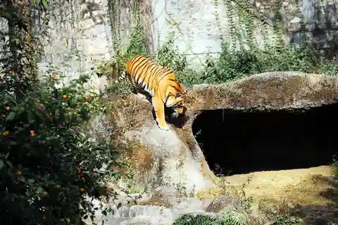 Kathmandu: Tour dello zoo centrale