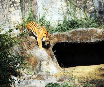 Kathmandu: Central Zoo Tour