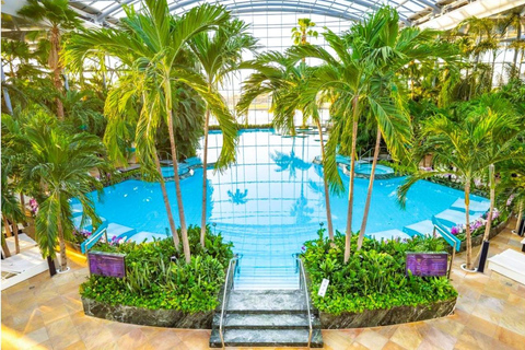 Bucharest: Transfer to Therme+Full EntryTicket 12h