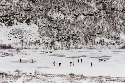 Tromsø: Paisagem ártica e passeio pelos fiordes com lanches