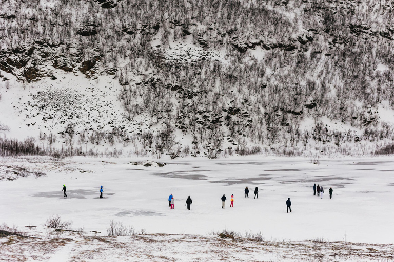 Tromsø: Arctic Landscape and Fjord Tour with Snacks