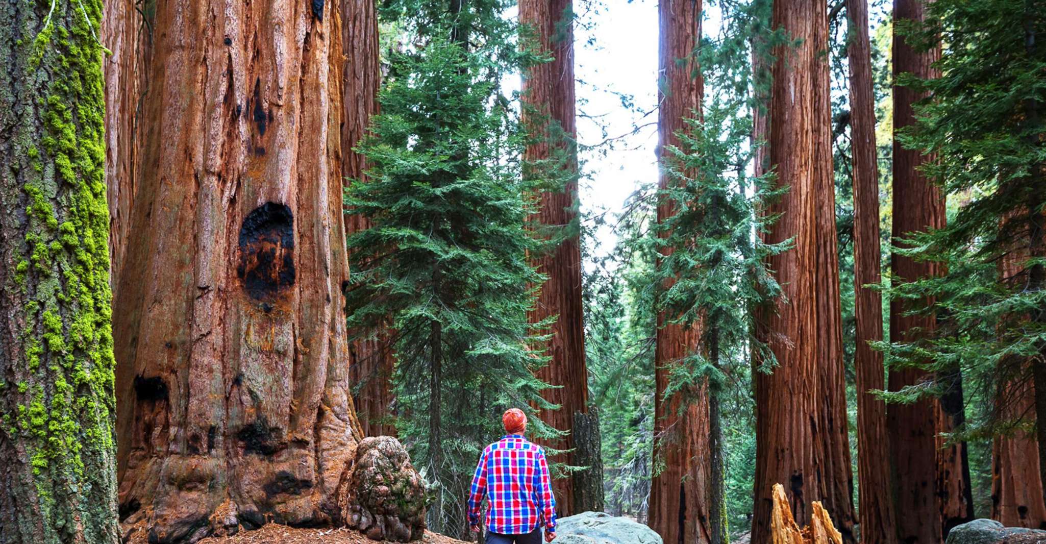 Yosemite Valley Aventure de camping de 3 jours - Hizvo