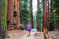 Yosemite Valley Aventure de camping de 3 jours - Hizvo