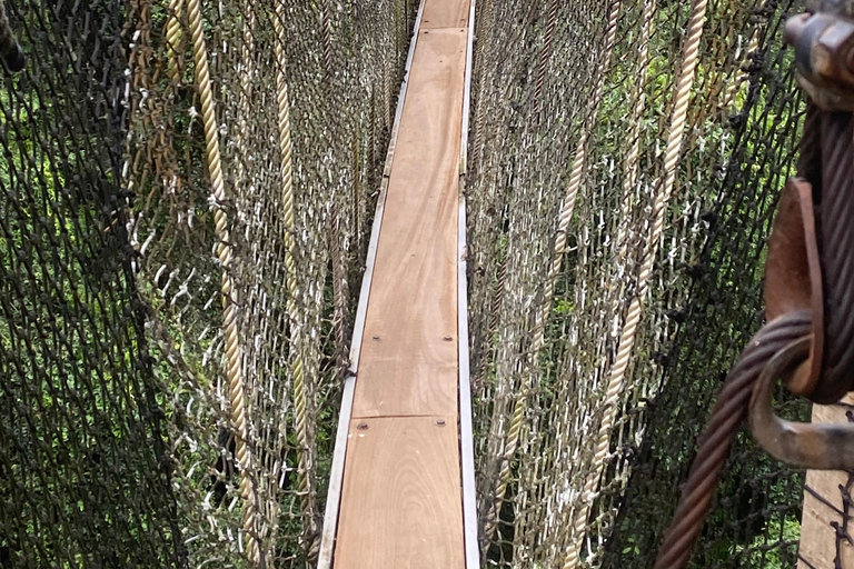 Accra: 2 days Cape Coast tour with a hotel accommodation