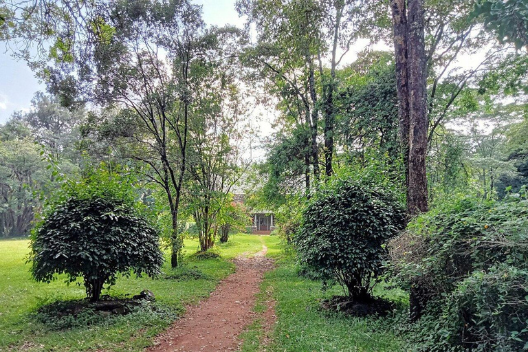 Nairobi: National Botanical Gardens & Nature walk Tour
