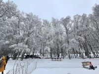 Serra da Estrela Tour Covão d'Ametade - Housity