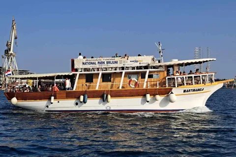 Au départ de Fazana : Croisière d'observation des dauphins au coucher du soleil