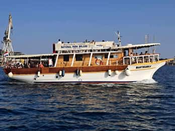 From Fazana: Dolphin watching sightseeing cruise at sunset
