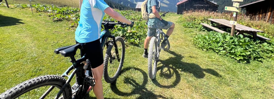 Megève : Les beaux panoramas du Mont-Blanc E-bike Tour