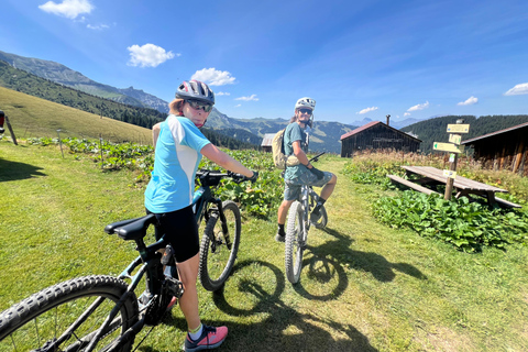 Megève: Beautiful Panoramas of Mont-Blanc E-bike Tour