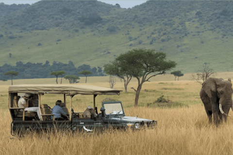 Durban: 2-daagse Hluhluwe Imfolozi en Isimangaliso tour