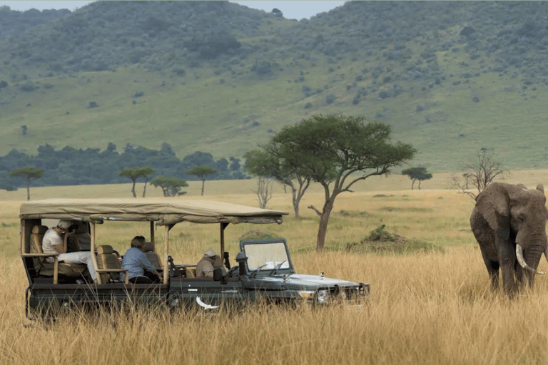 Durban: 2-dniowa wycieczka do Hluhluwe Imfolozi i Isimangaliso