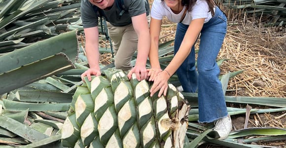 From Oaxaca: Mezcal Tour with Behind-the-Scenes Access