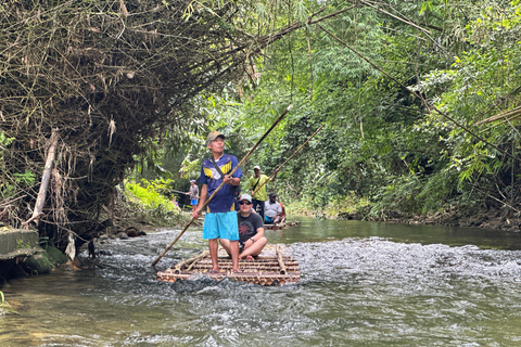 Khaolak: santuario de elefantes con centro de conservación de tortugas