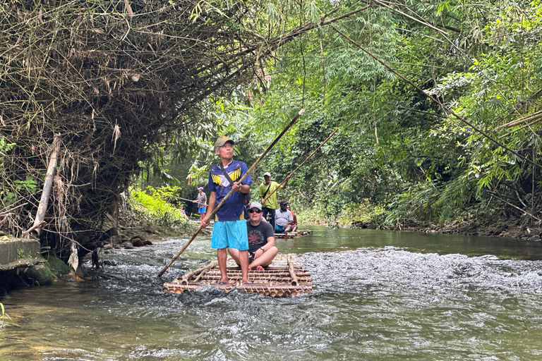 Khaolak: Santuário de elefantes com centro de conservação de tartarugasKhaolak: Excursão Privada de Conservação de Elefantes e Tartarugas Marinhas