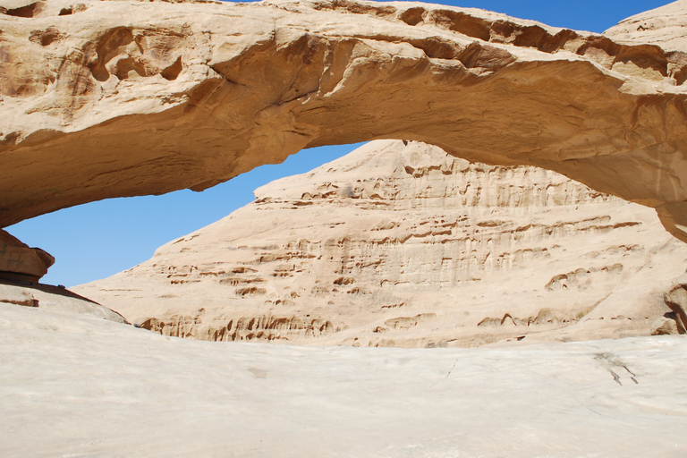 Aqaba: Tour privato di Petra e Wadi Rum con cena un giorno