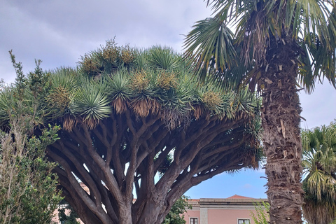 Ruta a pie guiada en La Orotava,Tenerife