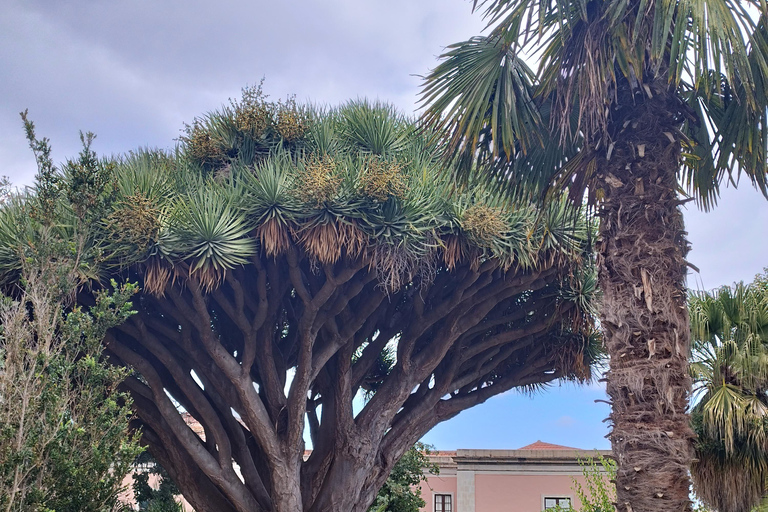 Ruta a pie guiada en La Orotava,Tenerife