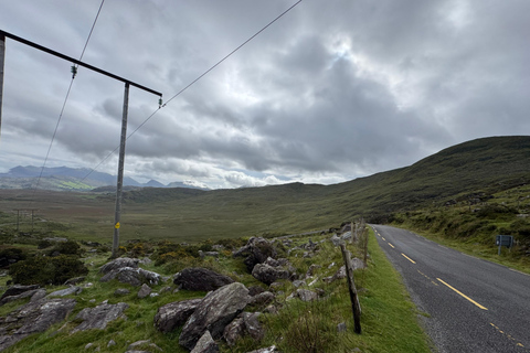 Belfast: Private Custom Tour with Driver and Guide