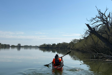 Tarragona (Ebro Delta): Kayak route around the Isla de Gracia Tarragona (Ebro Delta): Kayak route around Gracia Island