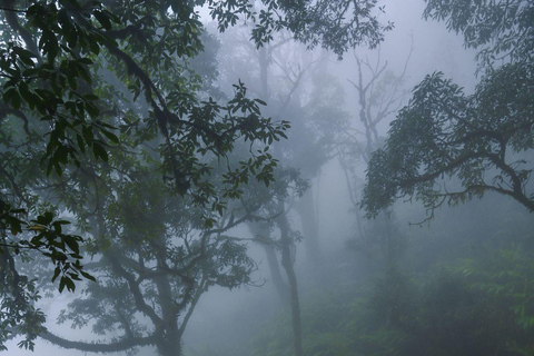 Kathmandu - Shivapuri Day Hike with Lunch Full-Day Shivapuri Hike with Lunch
