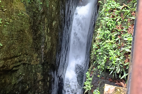 Sinharaja-Regenwald: Tour mit Wanderung zu 5 Wasserfällen
