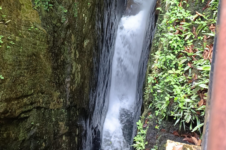 Sinharaja-Regenwald: Tour mit Wanderung zu 5 Wasserfällen