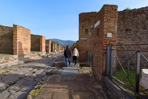 Pompeii: 2 uur voorrangstoegang met een gediplomeerde gidsPompeii: 2 uur bezoek met een gediplomeerde gids