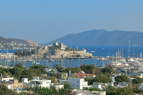 Bodrum: tour della città privato e guidato per crocieristi