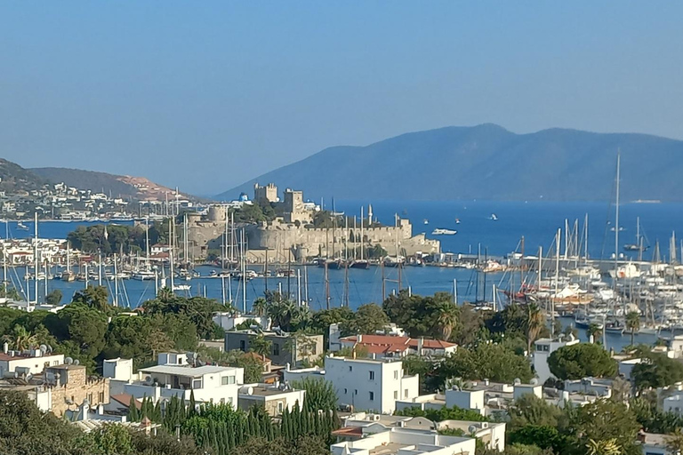 Bodrum: tour della città privato e guidato per crocieristi