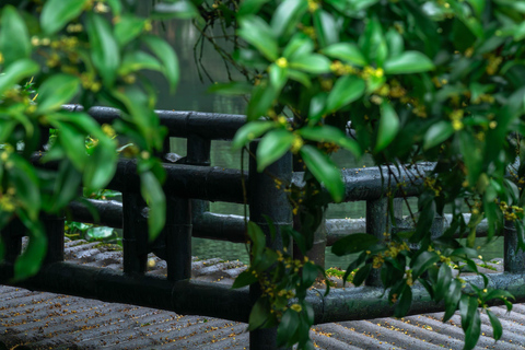 Hangzhou Autumn Exclusive: Manlong Guiyu Hiking Trail