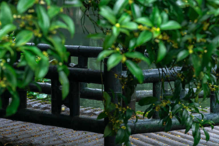 Hangzhou Autumn Exclusive: Manlong Guiyu Hiking Trail
