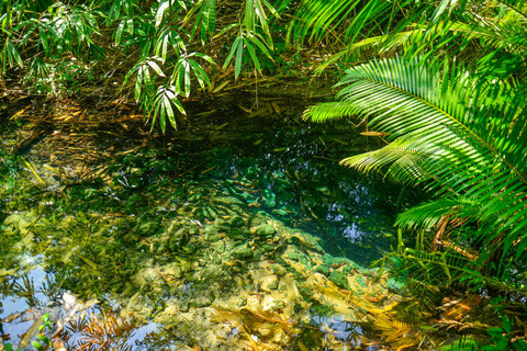 Fuga particular de Krabi: Piscina Esmeralda, Fontes Termais e Caverna do TigreVan particular