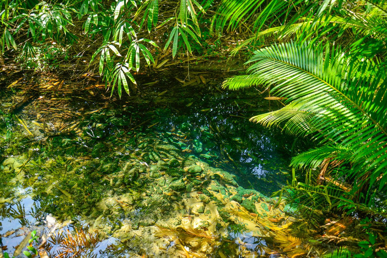 Escapade privée à Krabi : Piscine d'émeraude, sources d'eau chaude et grotte du tigreFourgon privé