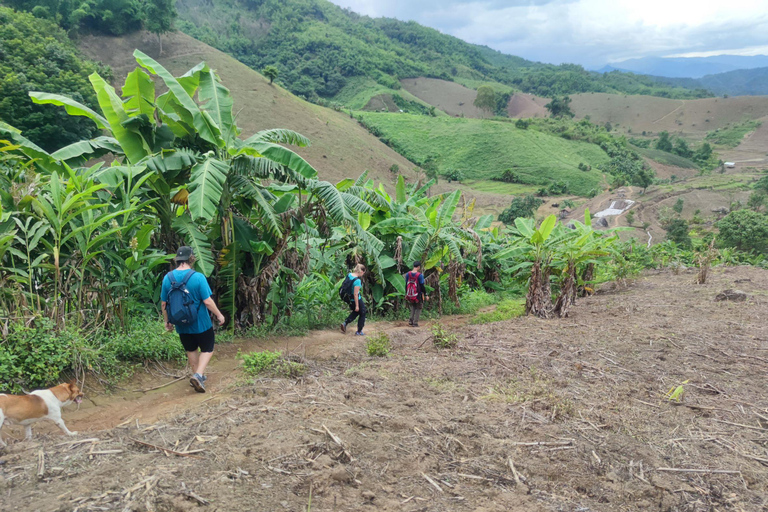Chiang Rai: Jungle Adventure-Group Trekking & Bamboo Cooking
