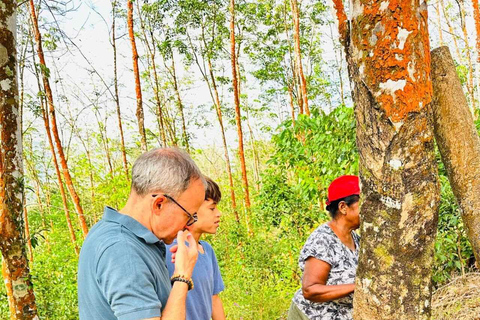 From Colombo: Ratnapura Gem, Tea & Spice Day Tour