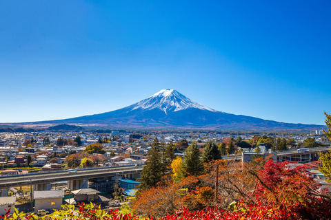 Tokyo: Mount Fuji Day Tour, Oshino Hakkai, Lake Kawaguchi Lunch Excluded | 8:30 AM from Shinjuku Station